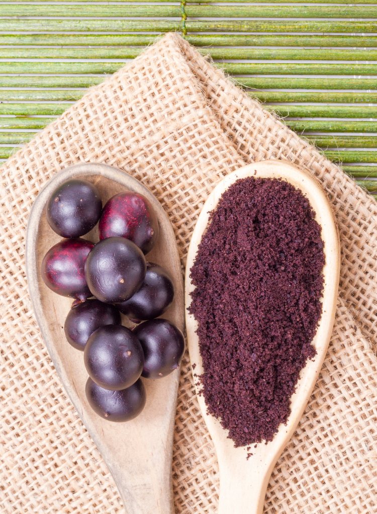 Organic Acai Berry Powder | Rainforest Foods