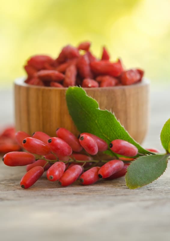 Organic Goji Berries