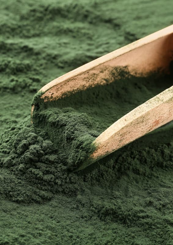Organic Spirulina Powder
