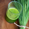 Organic Wheatgrass Powder