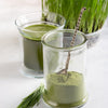 Organic Wheatgrass Powder