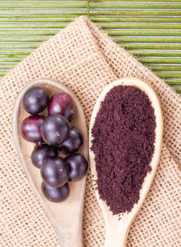 Organic Acai Berry Powder