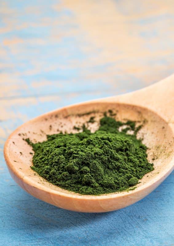 Organic Chlorella Powder