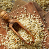 Organic Hemp Seeds